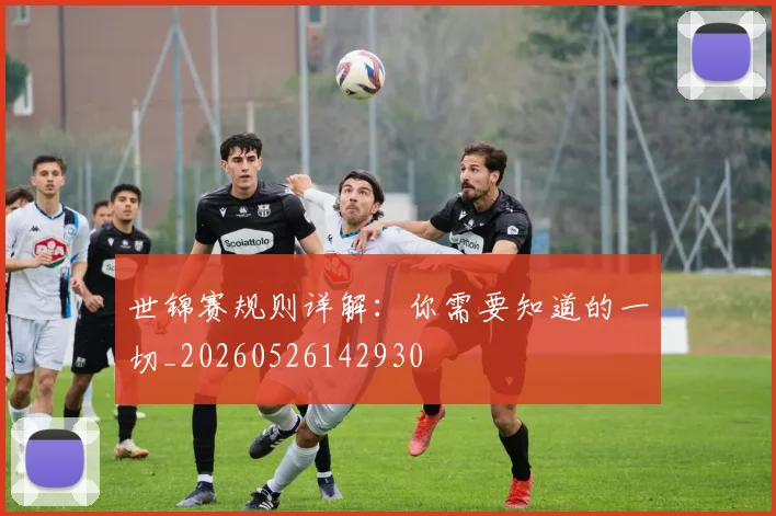世锦赛规则详解：你需要知道的一切_20260526142930